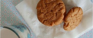 Gluten Free Flourless Almond Butter Cookies